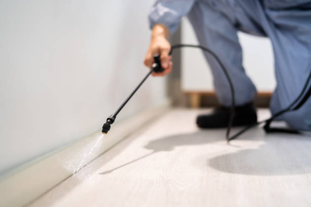 Professional exterminator conducting IPM assessment in Dennis Port